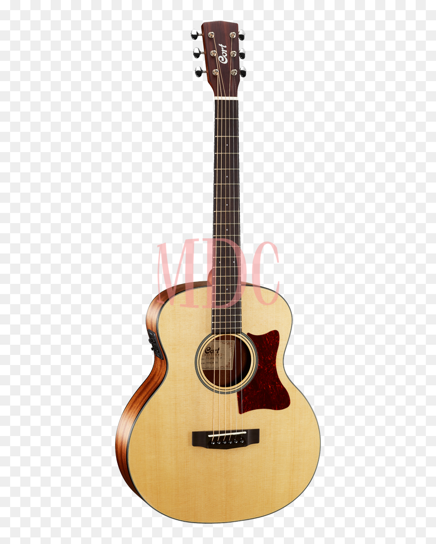 Takamine 12 Fret Guitars, HD Png Download - cj png