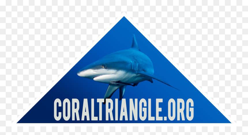 The Fram Museum, HD Png Download - corals png