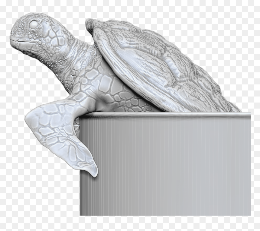 Turtle Face - Green Sea Turtle, HD Png Download - zbrush icon png
