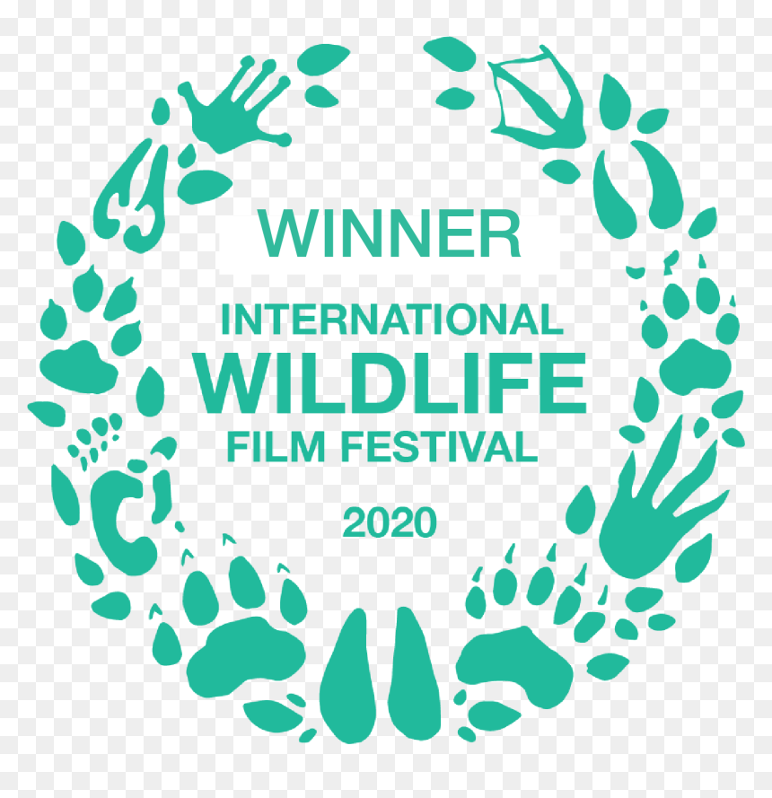 International Wildlife Film Festival, HD Png Download - corals png