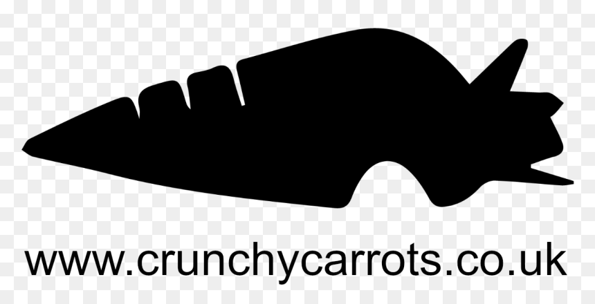 Junior Web Developer With Crunchy Carrots - Ray Ban Prescription Glasses, HD Png Download - web developer png