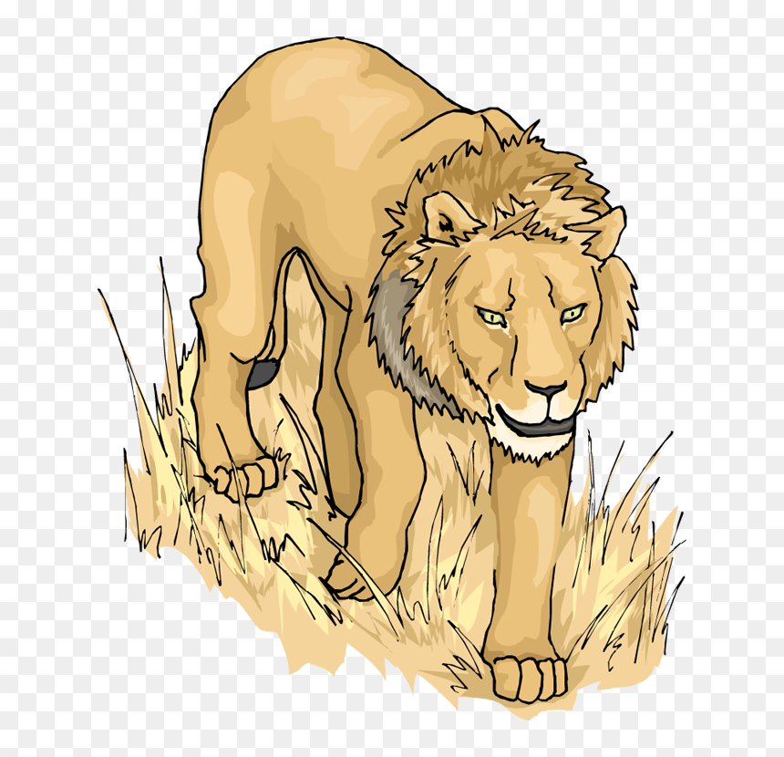 Graphic Lion - Lions Stalk Clipart, HD Png Download - lion head vector png