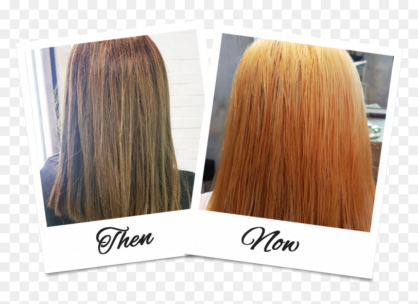 Lace Wig, HD Png Download - powdered wig png