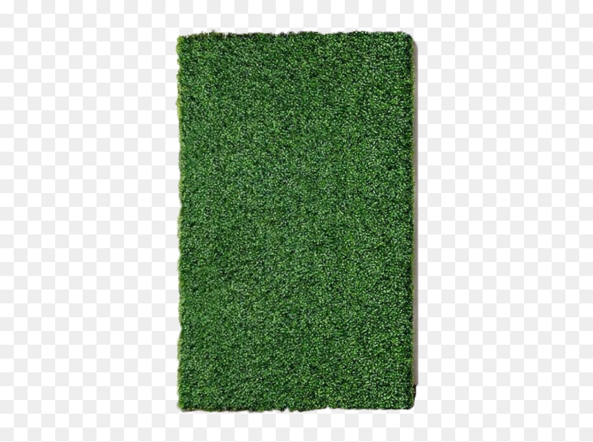 Carpet, HD Png Download - boxwood png