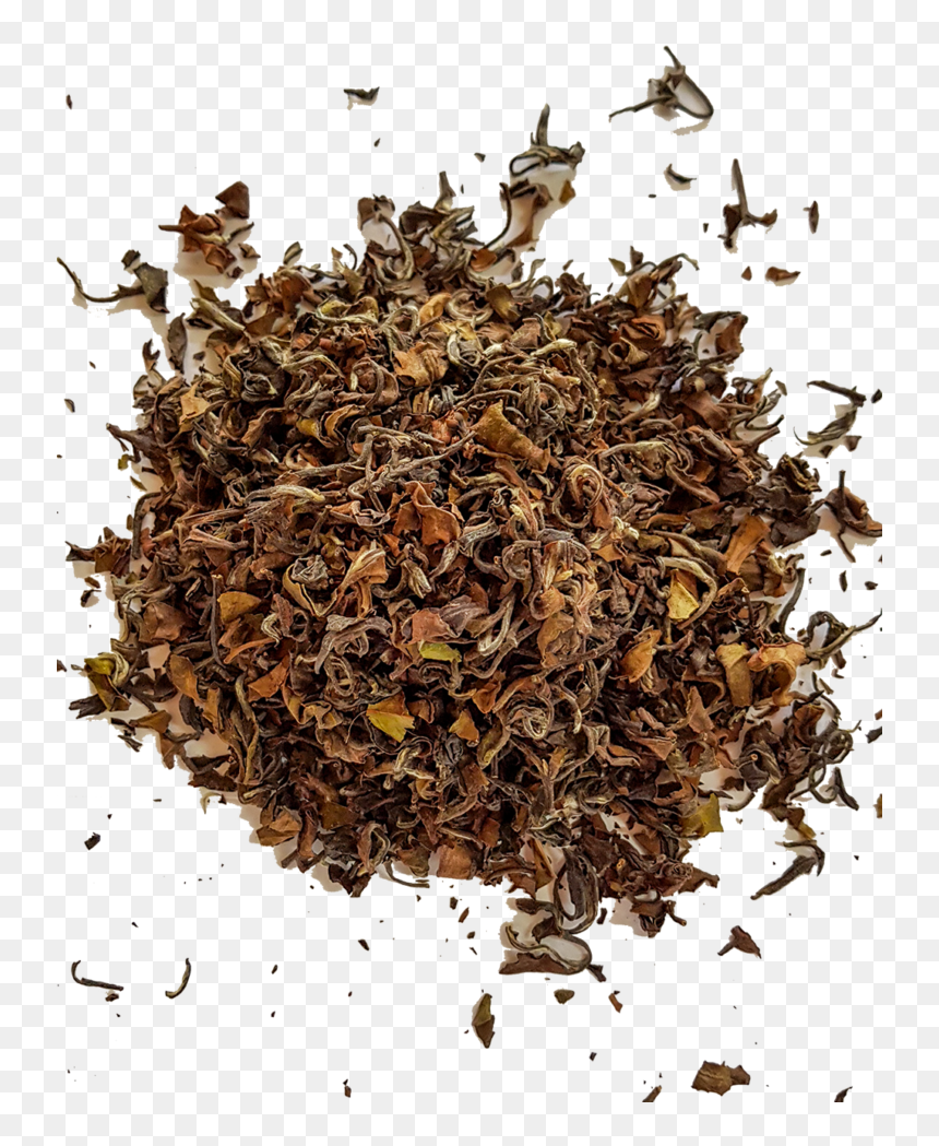 Dry Leaves Png , Png Download - Pest, Transparent Png - dry leaves png
