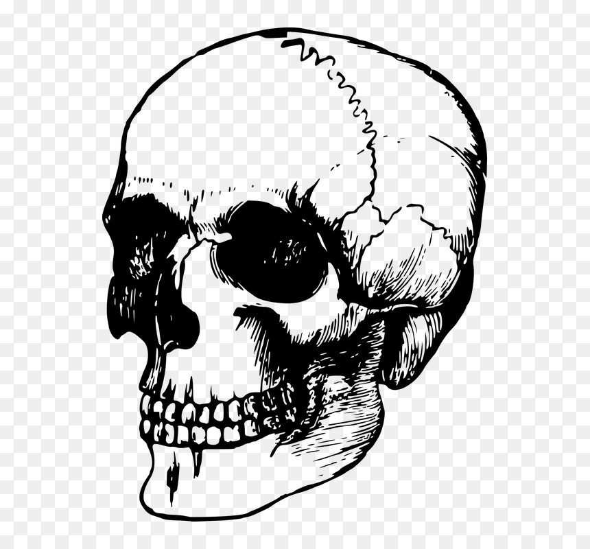 Skulls Easy To Draw, HD Png Download - death skull png