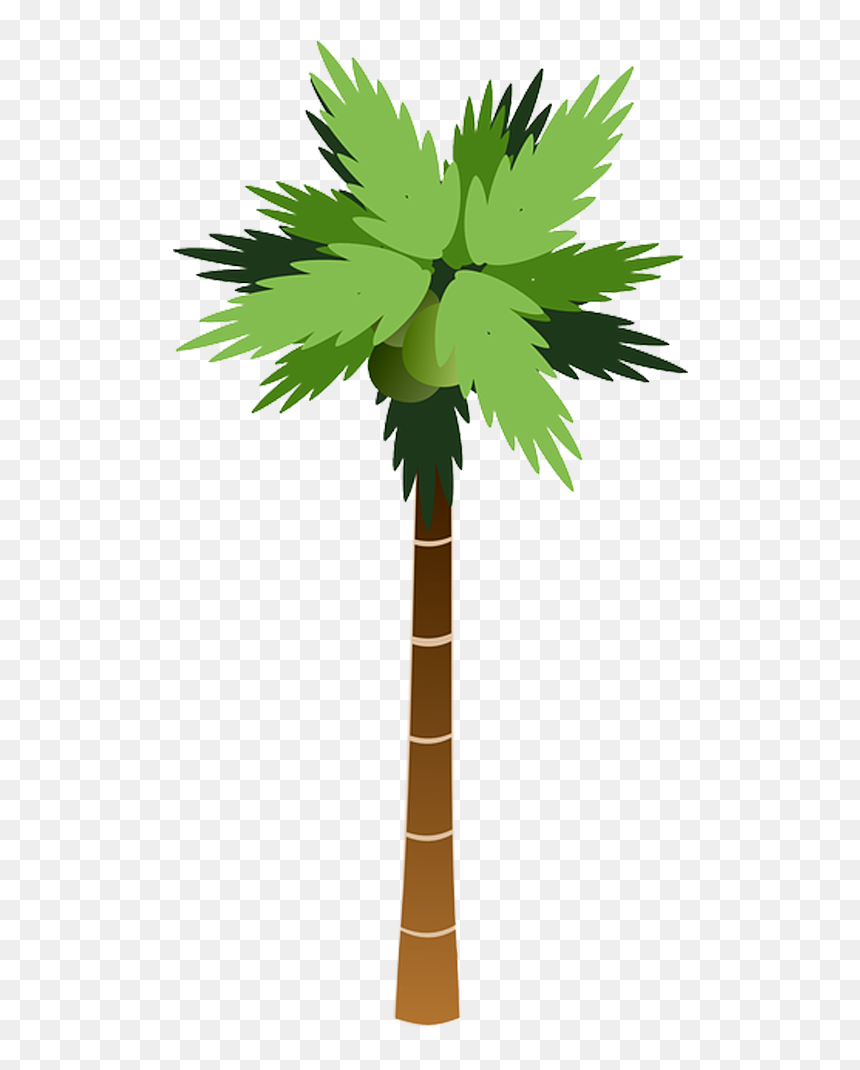 Thumb Image - Palm Tree Cartoon Png, Transparent Png - coqueiro png