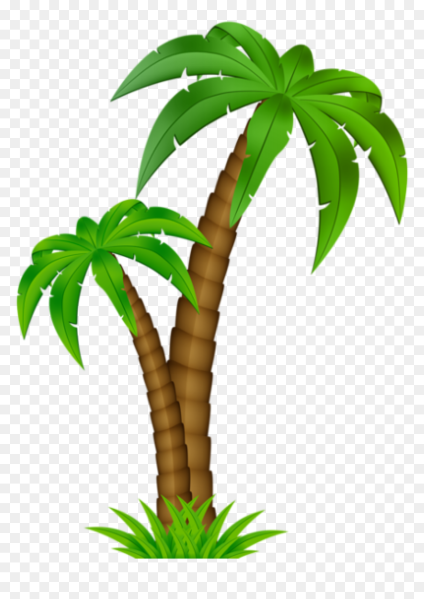 Palm Tree Cartoon Png, Transparent Png - coqueiro png