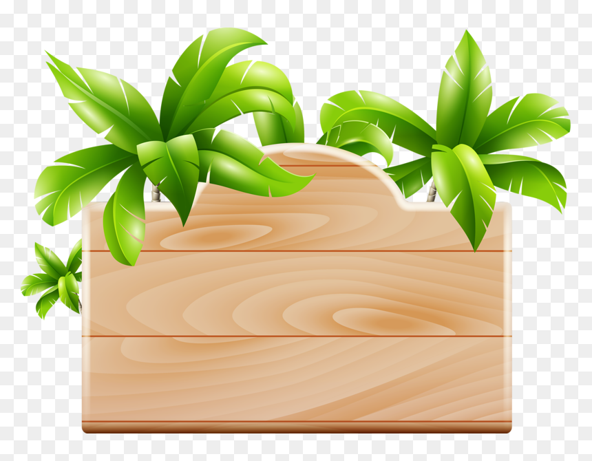 Thumb Image - Frame Moana Png, Transparent Png - coqueiro png