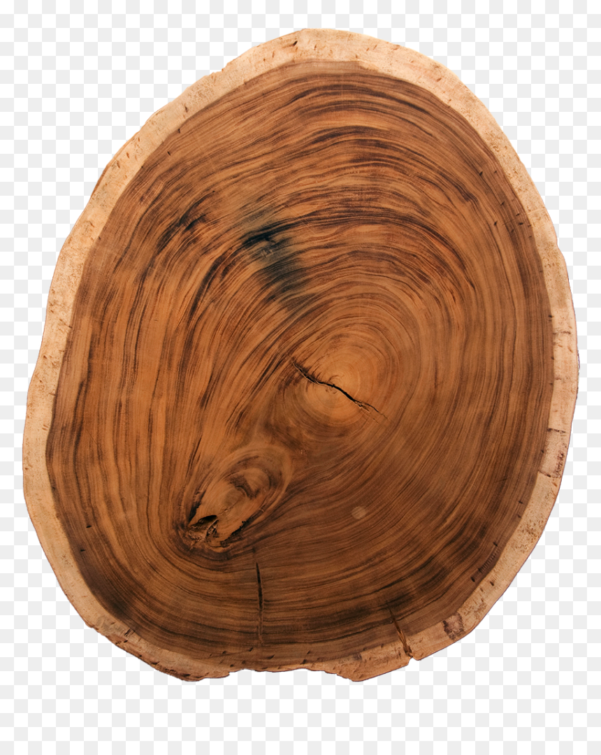 Lumber, HD Png Download - wood slice png
