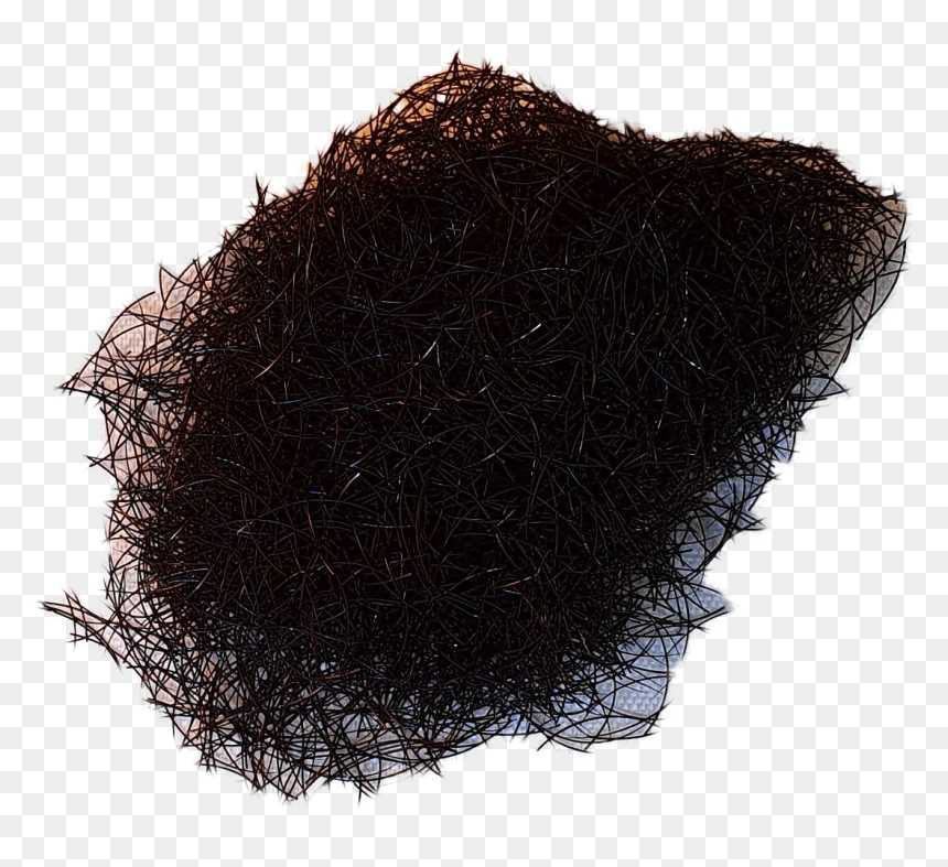 Eye Shadow, HD Png Download - powdered wig png