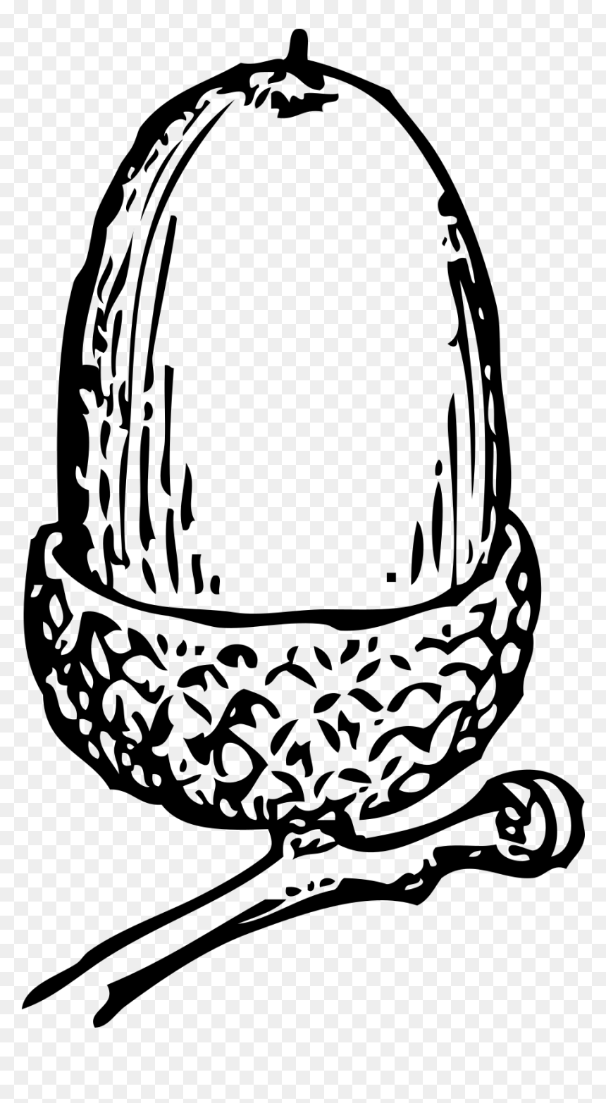 Acorn Clip Art, HD Png Download - acorns png