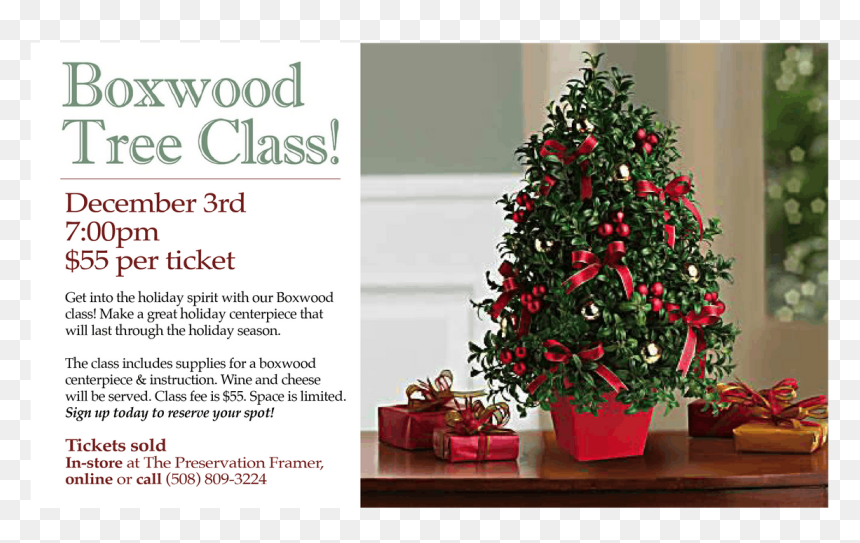 Deck The Halls Tree, HD Png Download - boxwood png