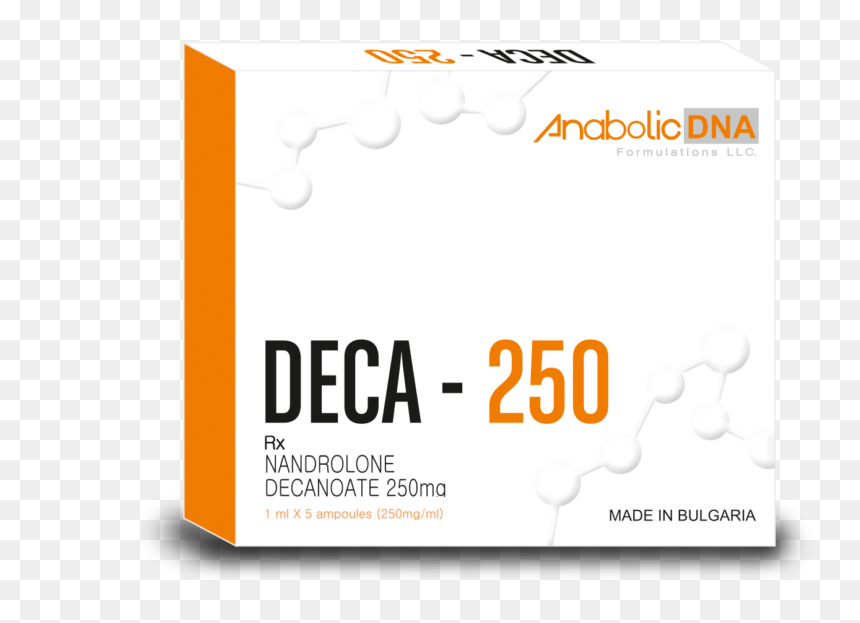 Orange , Png Download - Graphic Design, Transparent Png - orange.png