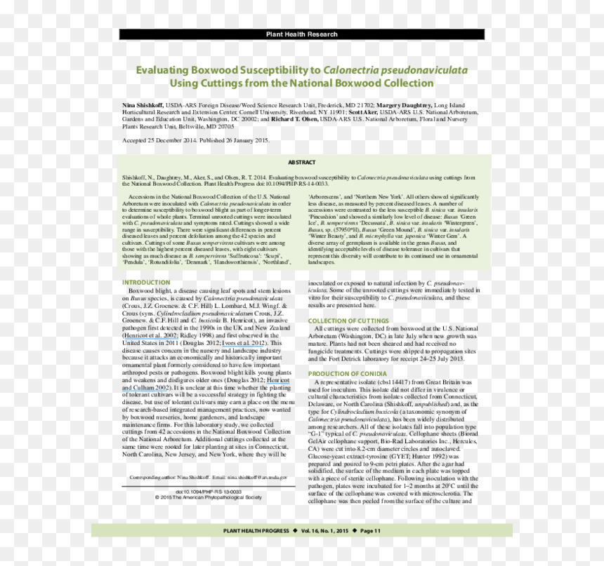 Document, HD Png Download - boxwood png