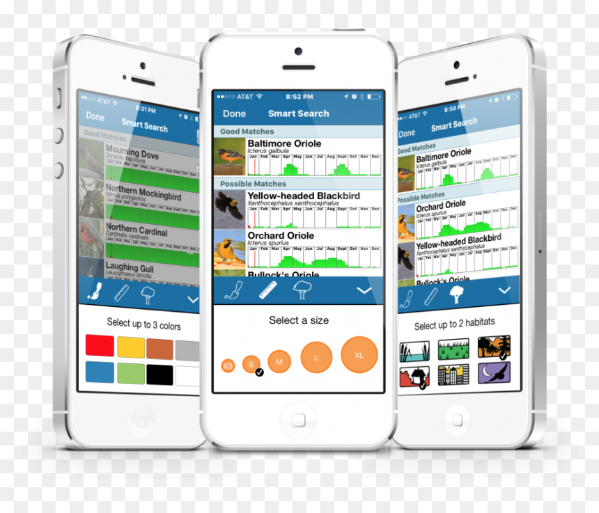 Smart Search Orioles - Iphone, HD Png Download - orioles png