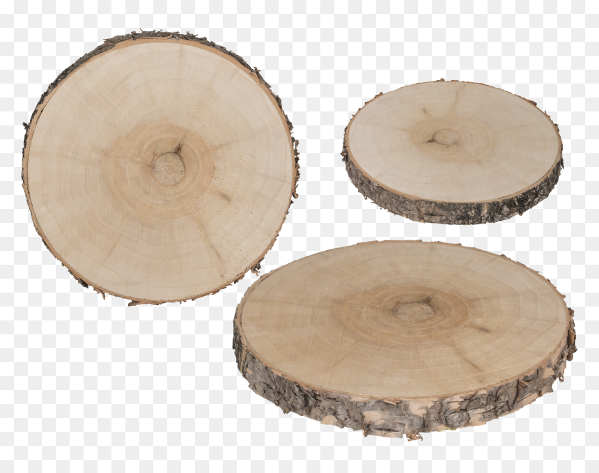 Lumber, HD Png Download - wood slice png