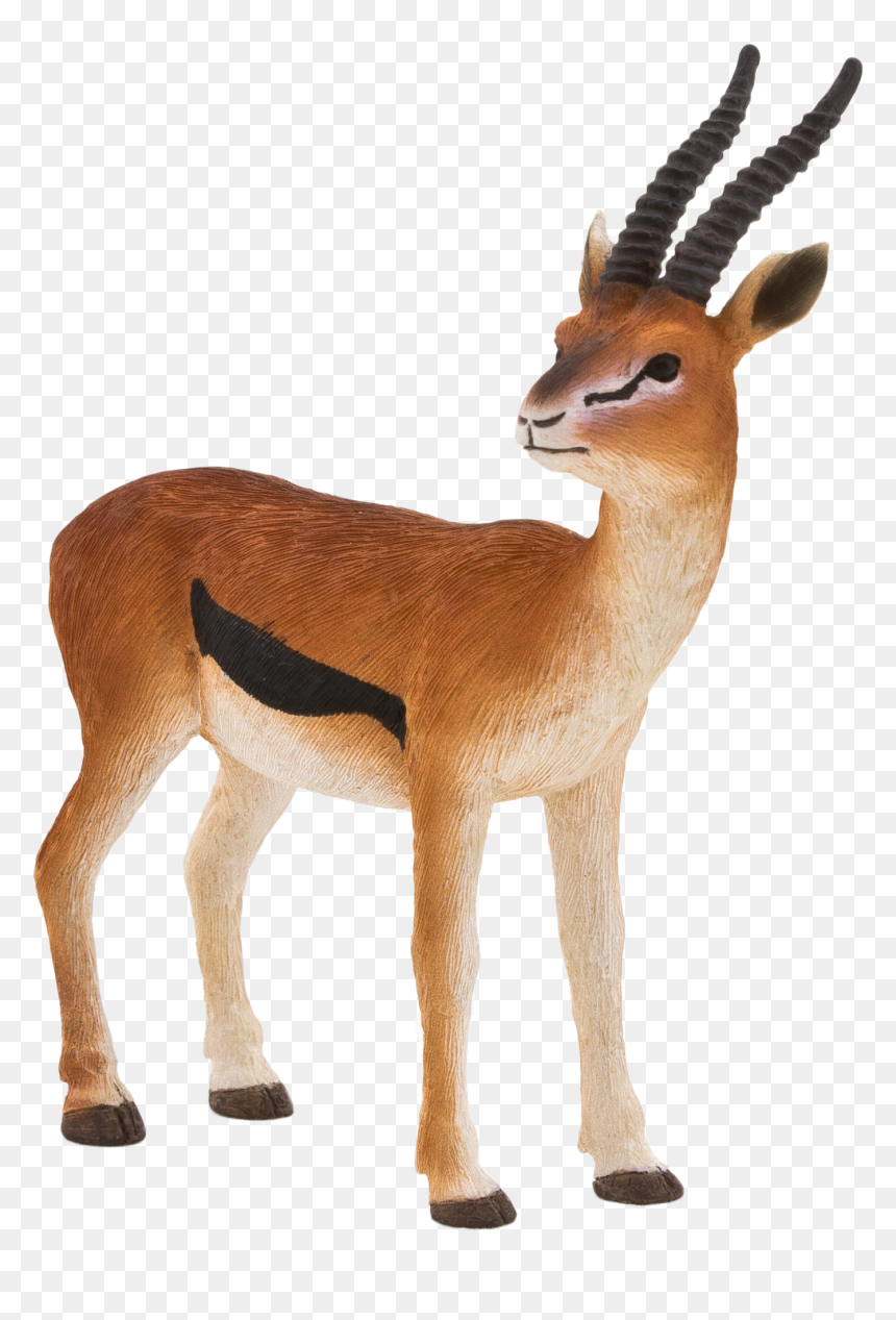 Mojo Thomson Gazelle Png Mojo Thomsons Gazelle Fun - Thomson's Gazelle Figurine, Transparent Png - gazelle png