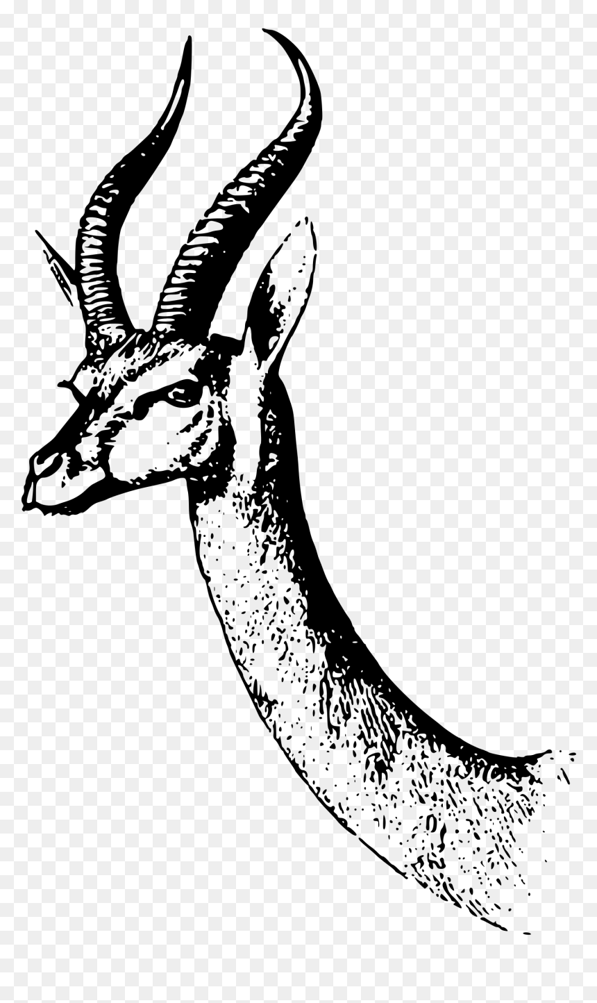 Waller"s Gazelle Clip Arts - Антилоп Рисунок, HD Png Download - gazelle png