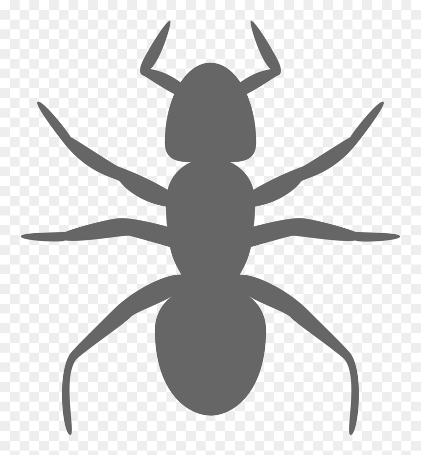Transparent Ant Silhouette - Ant Clip Art, HD Png Download - termite png