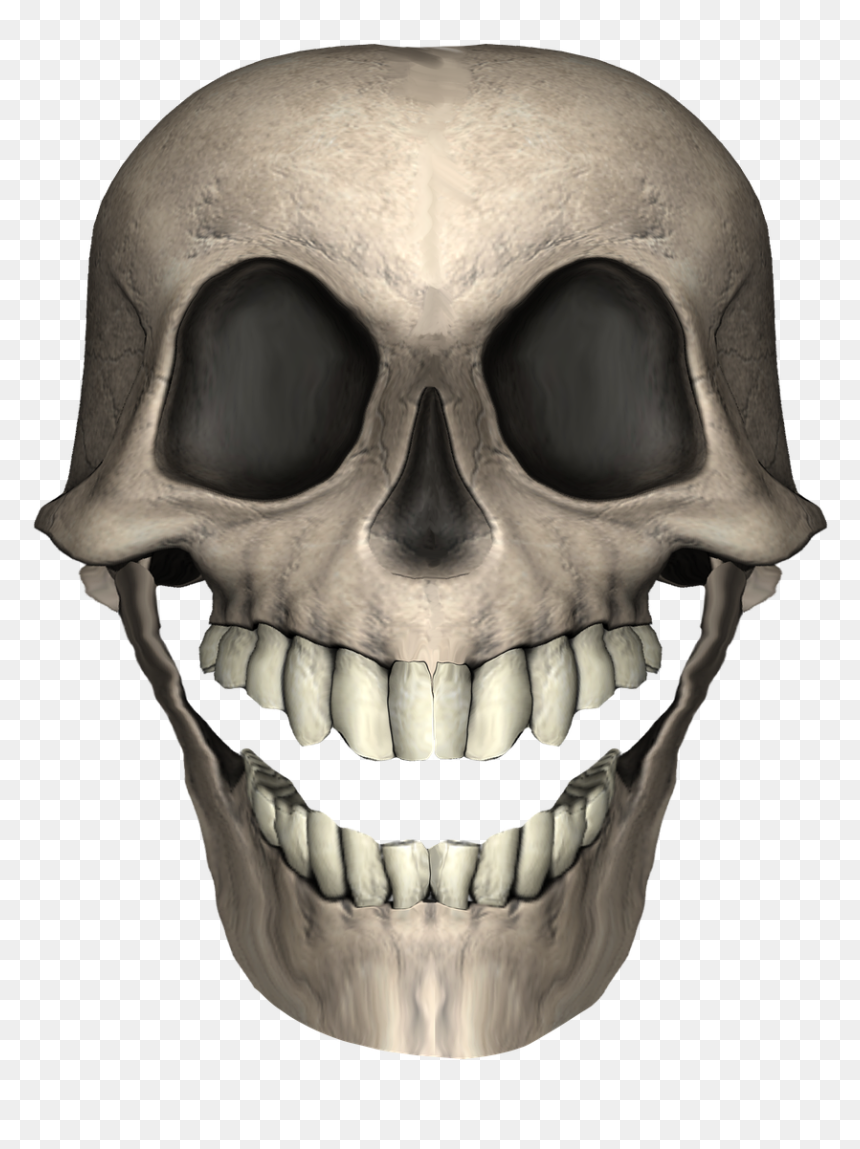 Skull, HD Png Download - caveira png