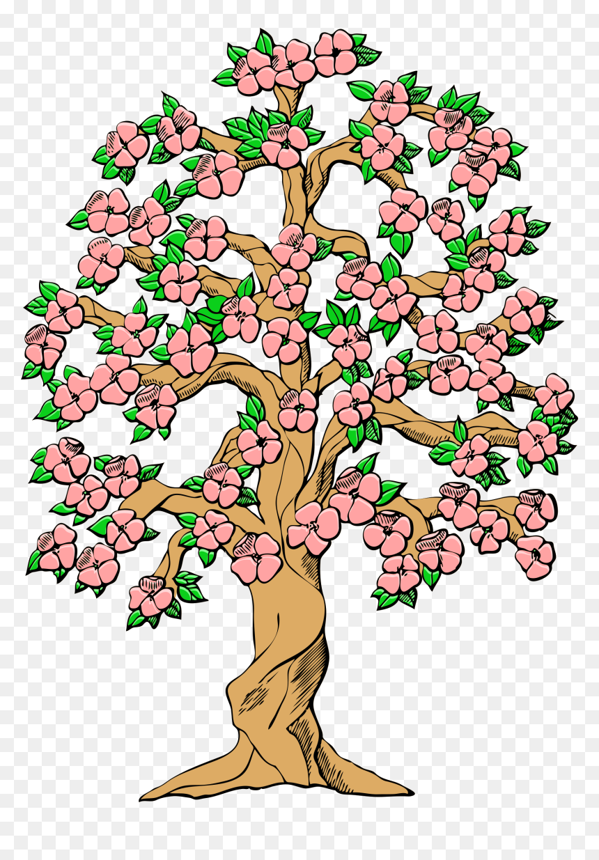 Flowering Tree Color Clip Arts - Tulip Tree Clip Art, HD Png Download - flowering tree png