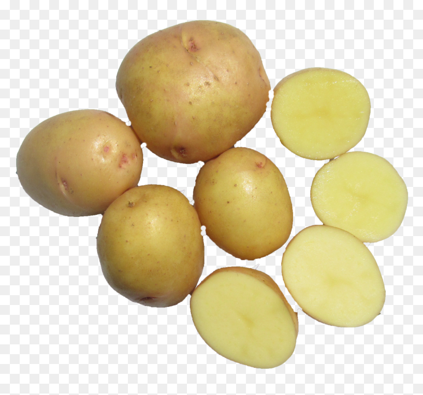Tuber, HD Png Download - potato.png