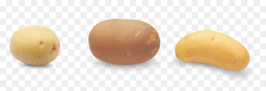 Potatoes - Russet Burbank Potato, HD Png Download - potato.png