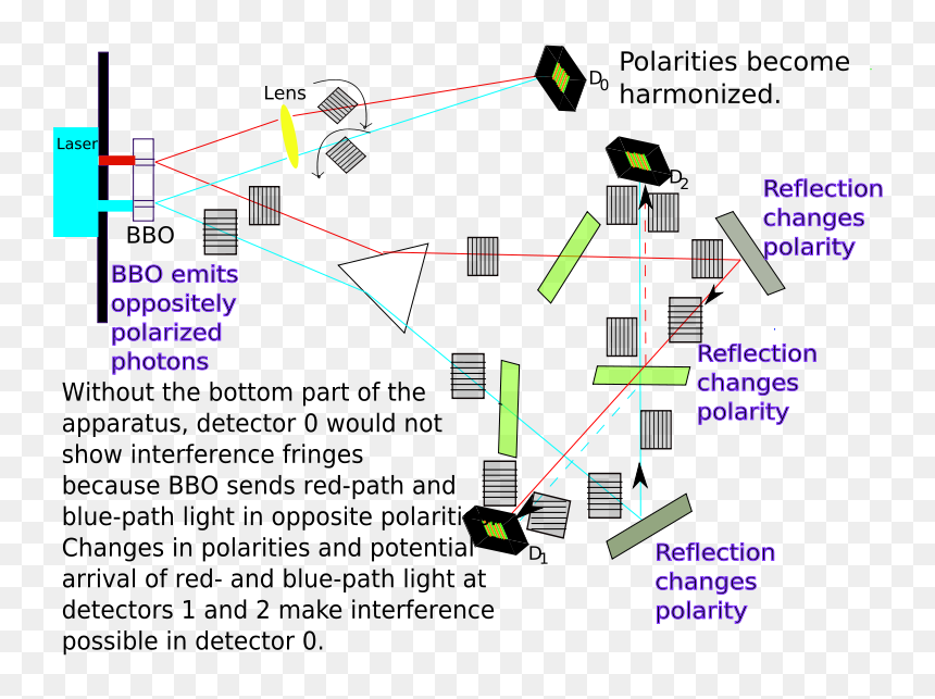 Kim Quantum Eraser Schematic - Quantum Eraser, HD Png Download - kim possible png