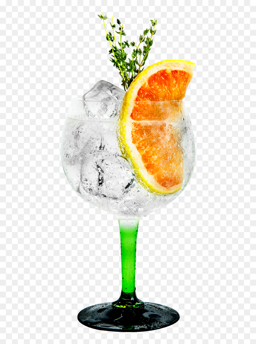 Grapefruit & Thyme Tanqueray & Fever-tree - Gin Tonic Orange Thyme, HD Png Download - thyme png