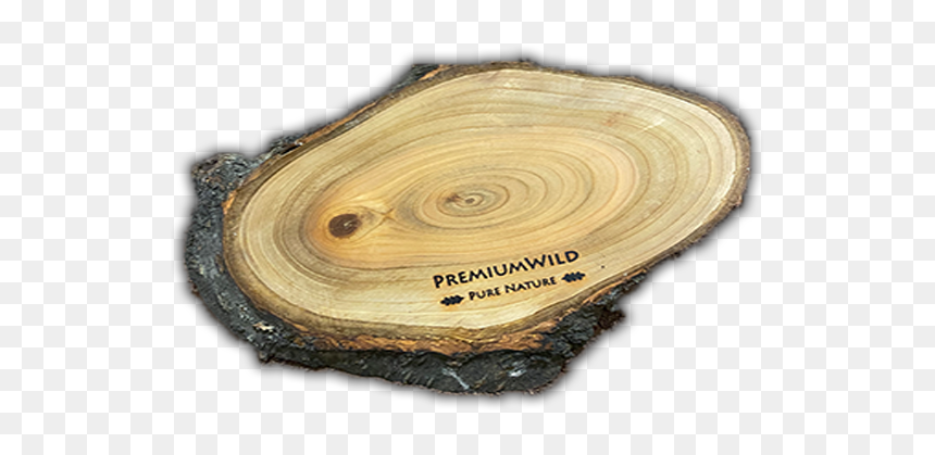 Lumber, HD Png Download - wood slice png