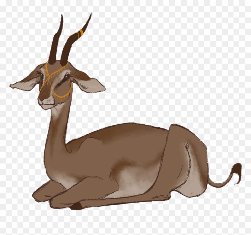 Thomson"s Gazelle Clipart , Png Download - Portable Network Graphics, Transparent Png - gazelle png