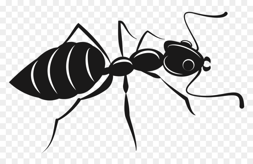 Fly,arthropod,termite - Ants Silhouettes, HD Png Download - termite png