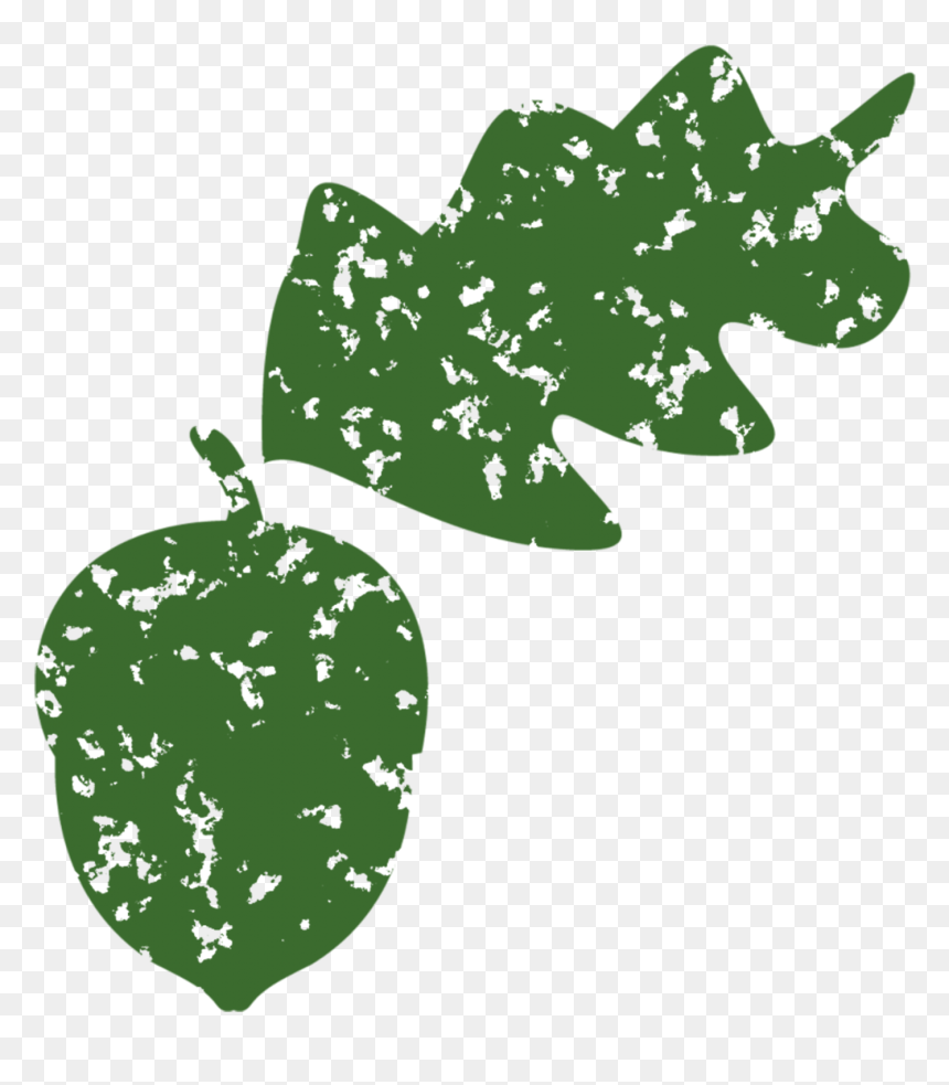 Illustration, HD Png Download - acorns png
