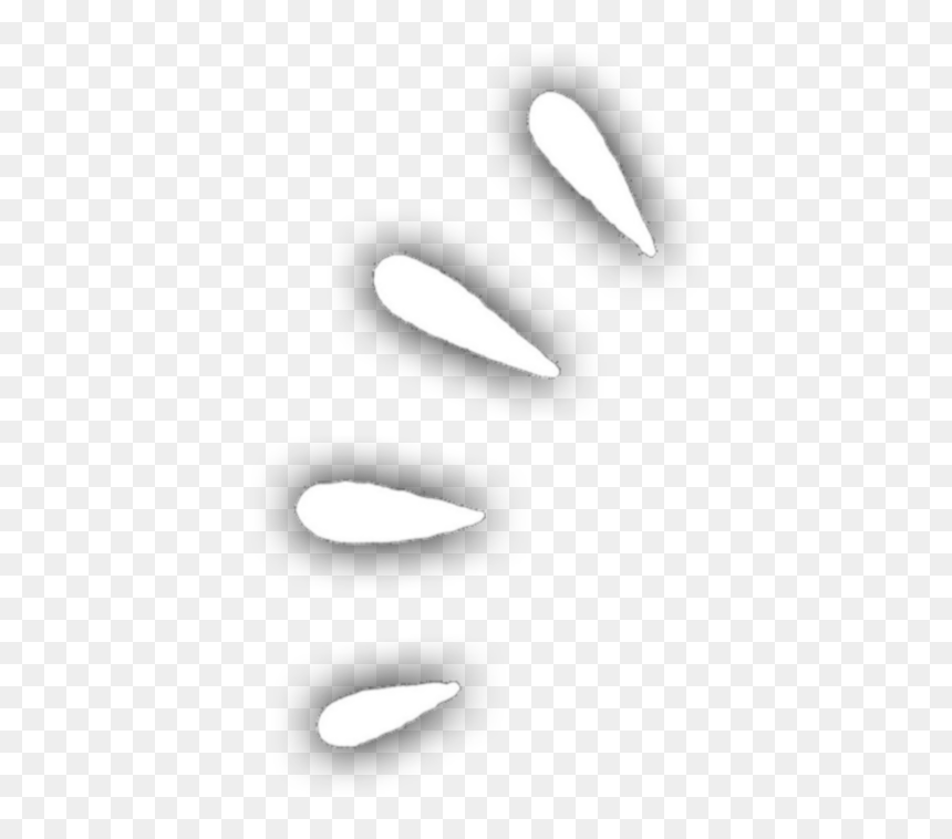 Overlay, Png, And Transparent Image - Monochrome, Png Download - photo overlay png