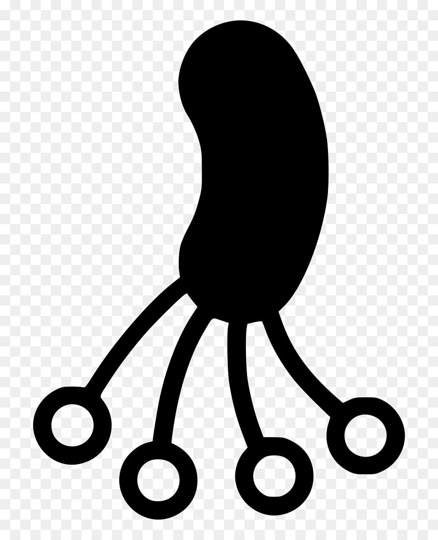 Infection - Bacteria, HD Png Download - infection png