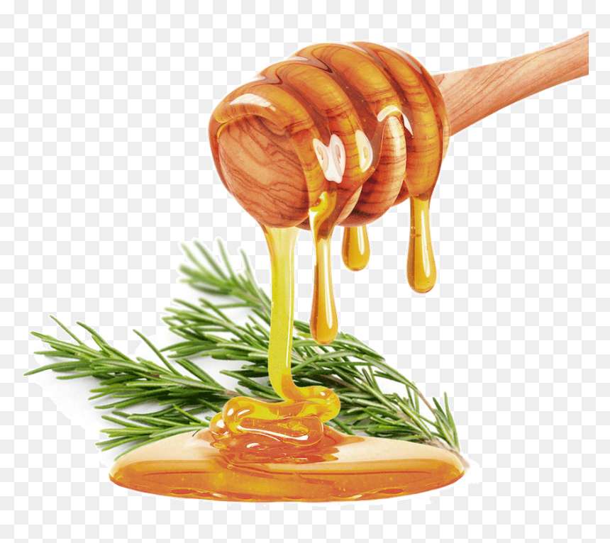 Bees Play A Fundamental Role In Any Ecosystem So, Keeping - Natural Honey Png, Transparent Png - all natural png