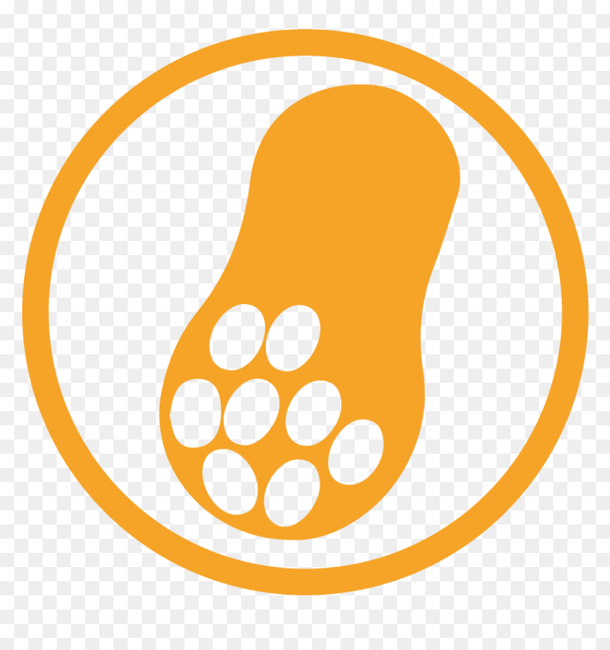 Transparent The Peanuts Movie Png, Png Download - the peanuts movie png