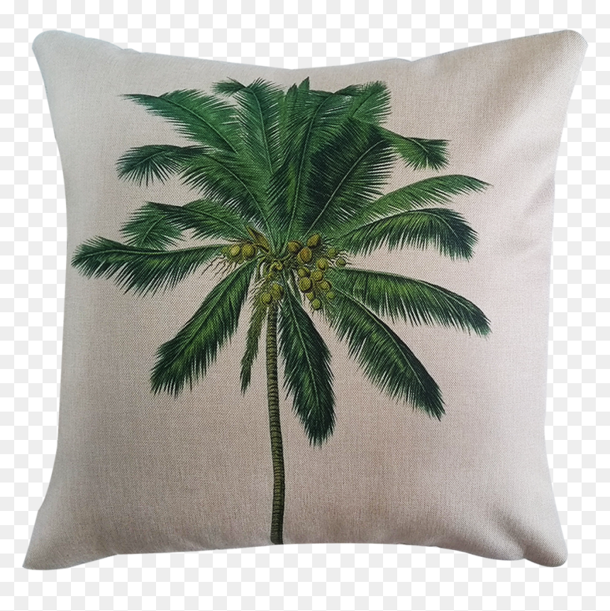 788 - Coconut Botanical Illustration, HD Png Download - coqueiro png