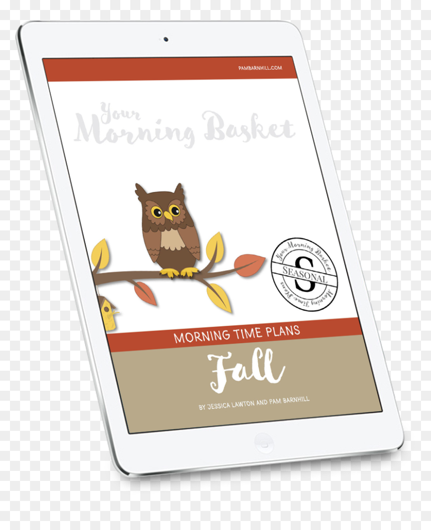 Morning Drawing Summer Season - Eastern Screech Owl, HD Png Download - summer time png