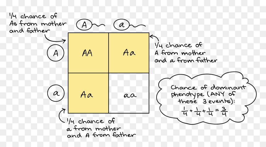 Angry Dad Png , Png Download - Mother And Father Genes, Transparent Png - angry dad png