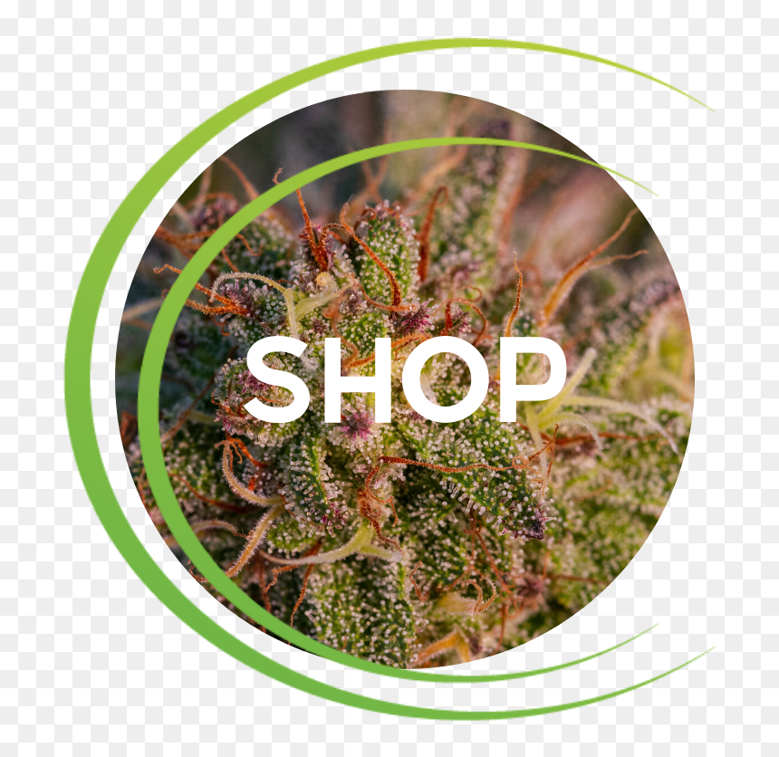 Reifers - Circle, HD Png Download - weed plants png