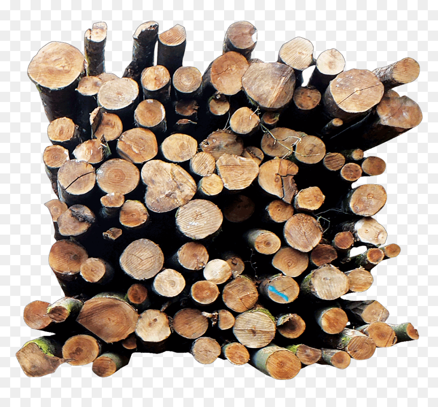 Lumber, HD Png Download - wood slice png