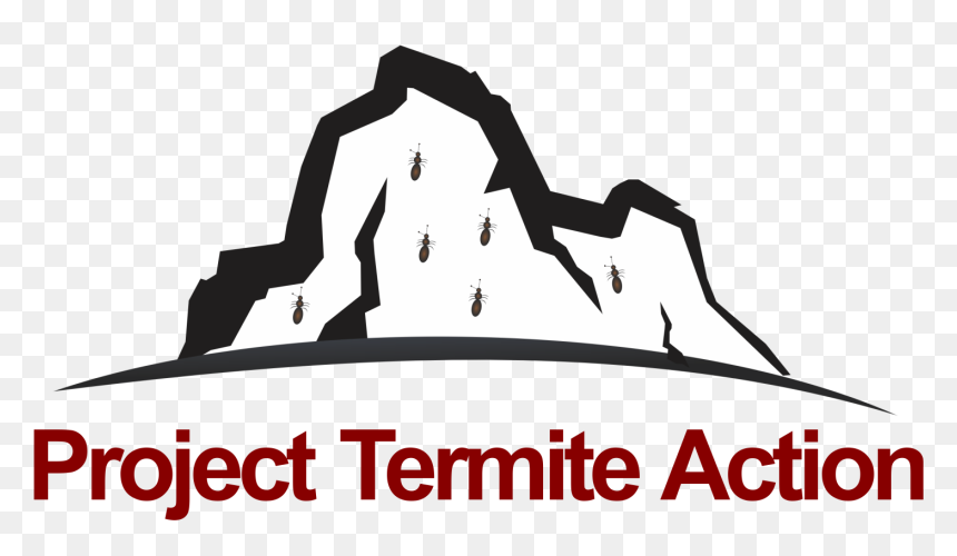 Project Termite Action - Project, HD Png Download - termite png