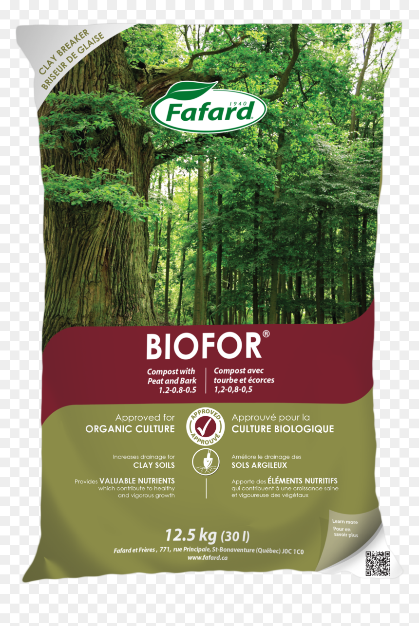 Mighty Oak Tree, HD Png Download - compost png
