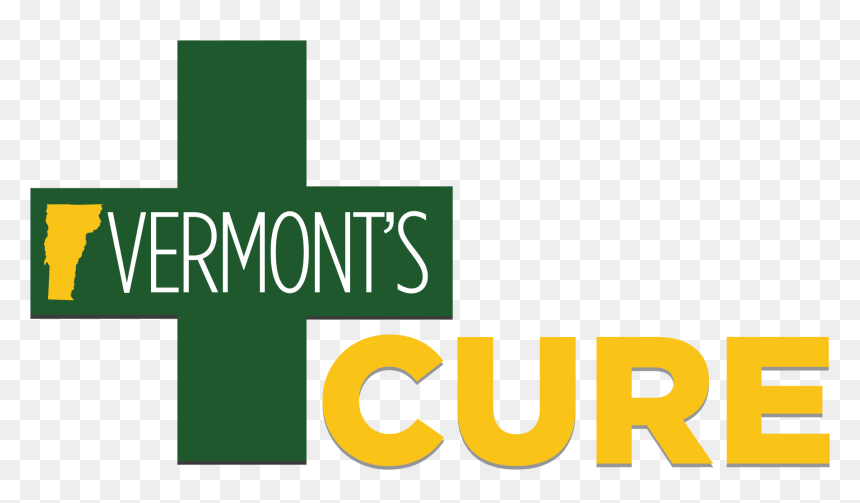 Vermont"s Coalition For Universal Reform Is An Advocacy - Orange, HD Png Download - $100 bill png