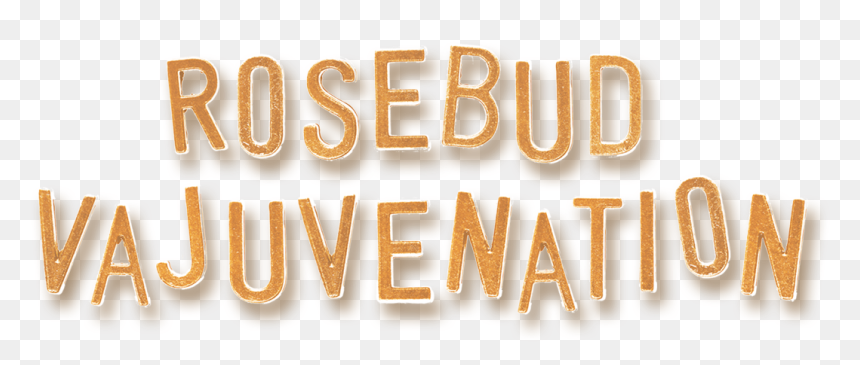 What Is Strip Rosebud Vajuvenation - Metal, HD Png Download - rosebud png