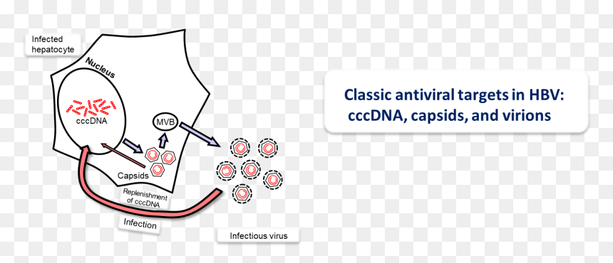 Graphic Design, HD Png Download - infection png