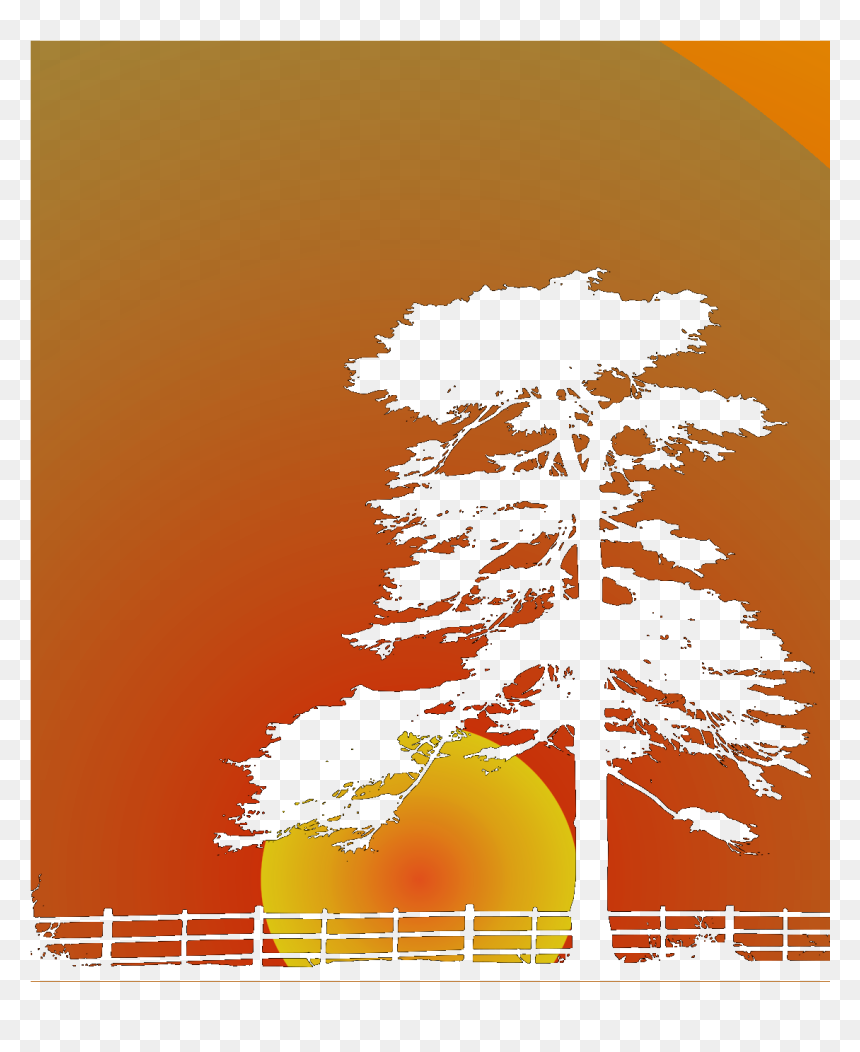 Christmas Tree, HD Png Download - rvd png