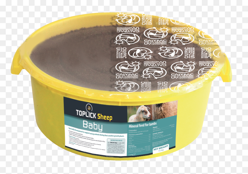 Toplick Sheep Baby - Rat, HD Png Download - baby horse png